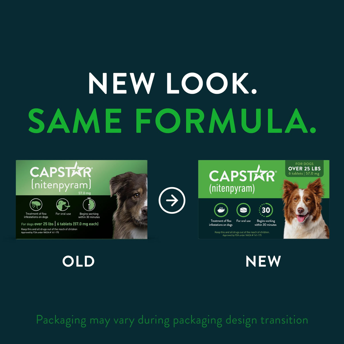 Capstar for Dogs (nitenpyram), Fast-Acting Oral Flea Treatment for Dogs Over 25+ lbs, Vet-Recommended Flea Medication Tablets Start Killing in 30 Minutes, 6 Doses