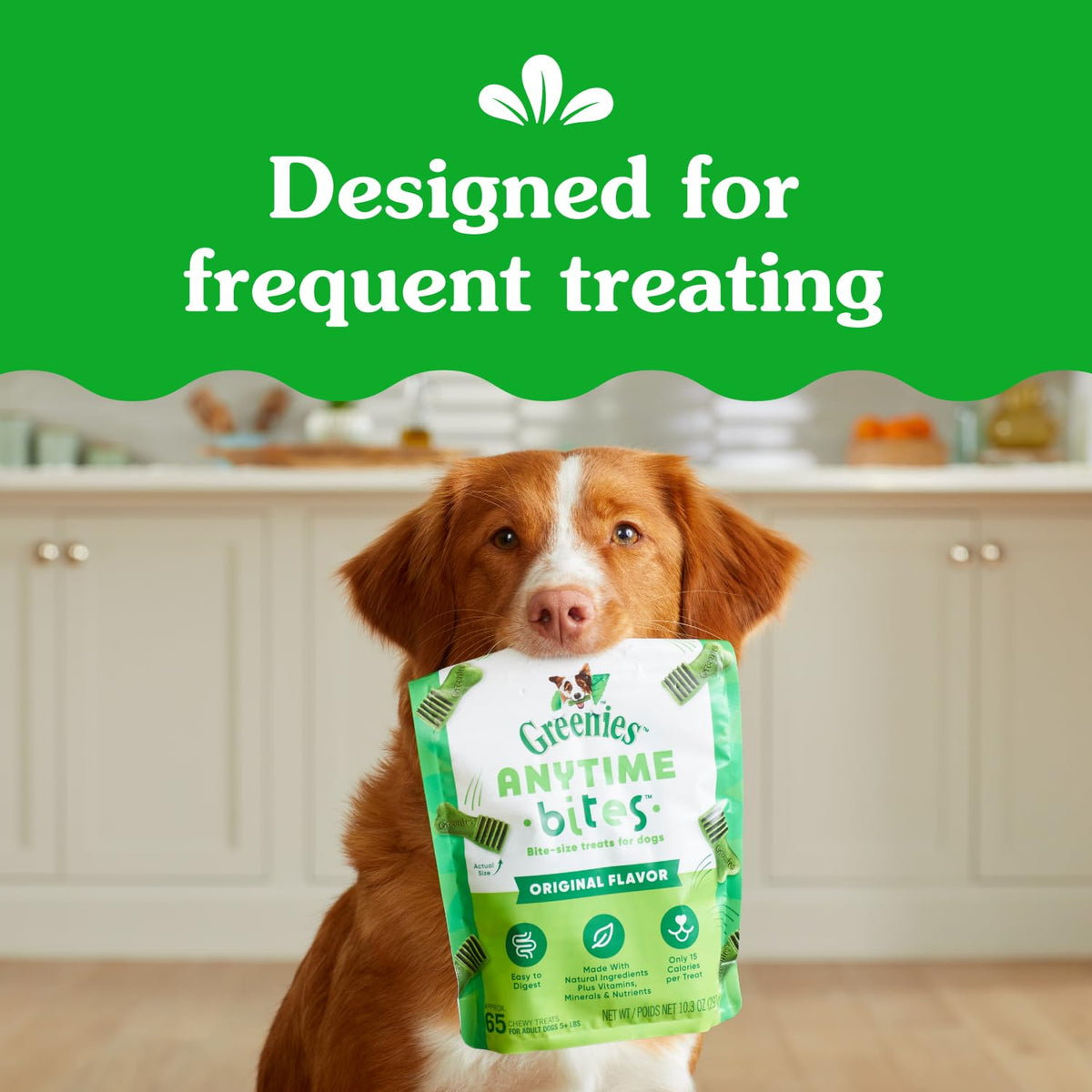 Greenies Anytime Bites Dog Treats, Blueberry Flavor, 10.3 oz