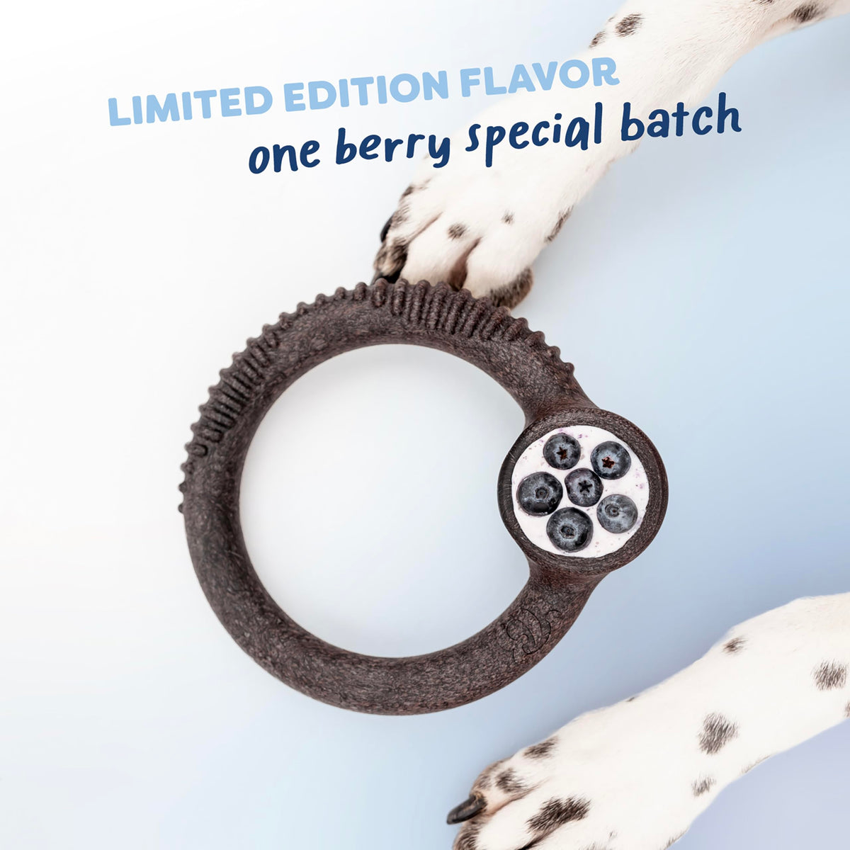 Benebone Medium 4-Pack Dog Toys for Aggressive Chewers – Under 60 lbs