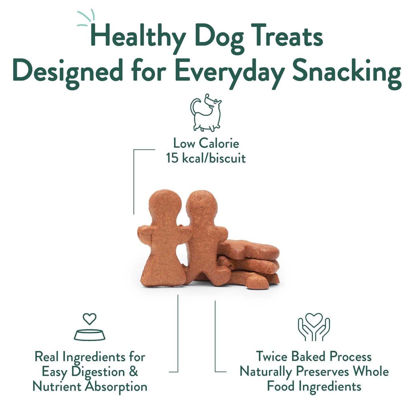 Portland Pet Food Pumpkin Dog Treats - Healthy, Grain-Free Biscuits, 5 oz