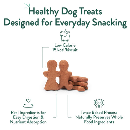 Portland Pet Food Pumpkin Dog Treats - Healthy, Grain-Free Biscuits, 5 oz