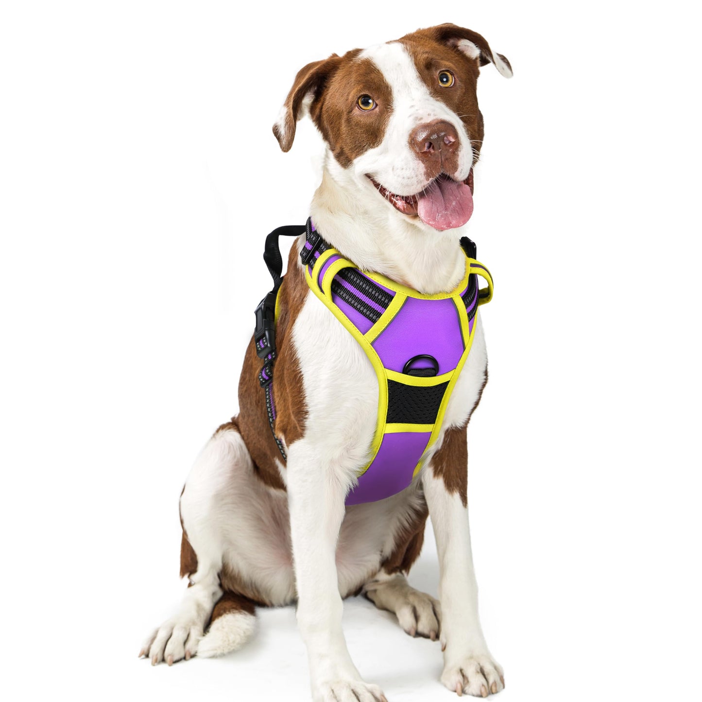 rabbitgoo Dog Harness, No Pull for Large Dogs with 2 Leash Clips, Pet Vest