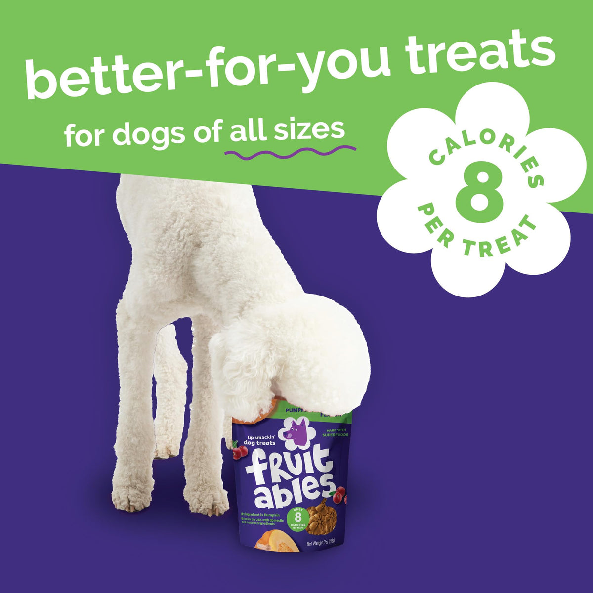 Fruitables Baked Dog Treats, Low Calorie Treats, Pumpkin & Blueberry, 12oz