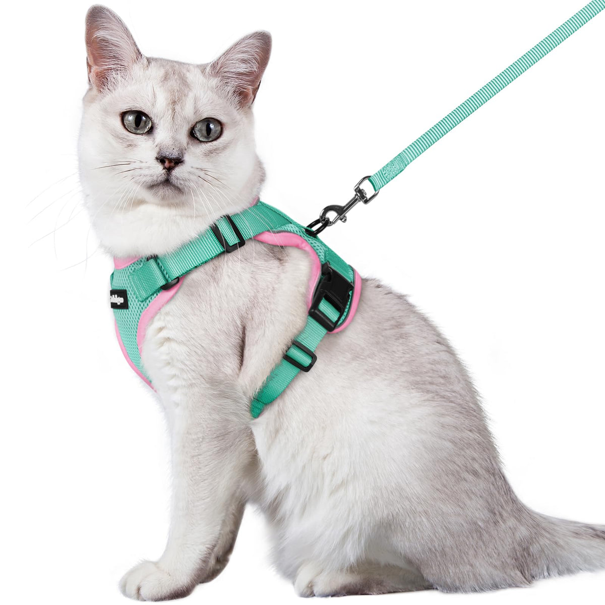 rabbitgoo Cat Harness and Leash Set, Escape Proof Vest, Emerald
