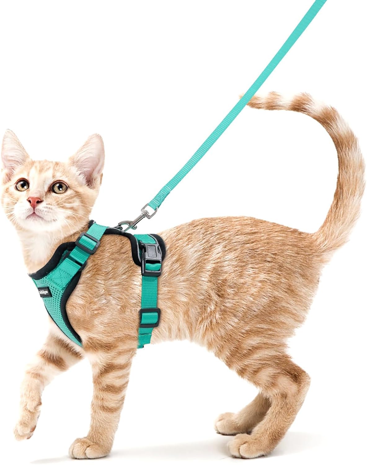 rabbitgoo Cat Harness and Leash Set, Escape Proof Vest, Emerald