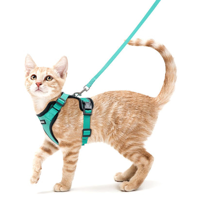 rabbitgoo Cat Harness and Leash Set, Escape Proof Vest, Black