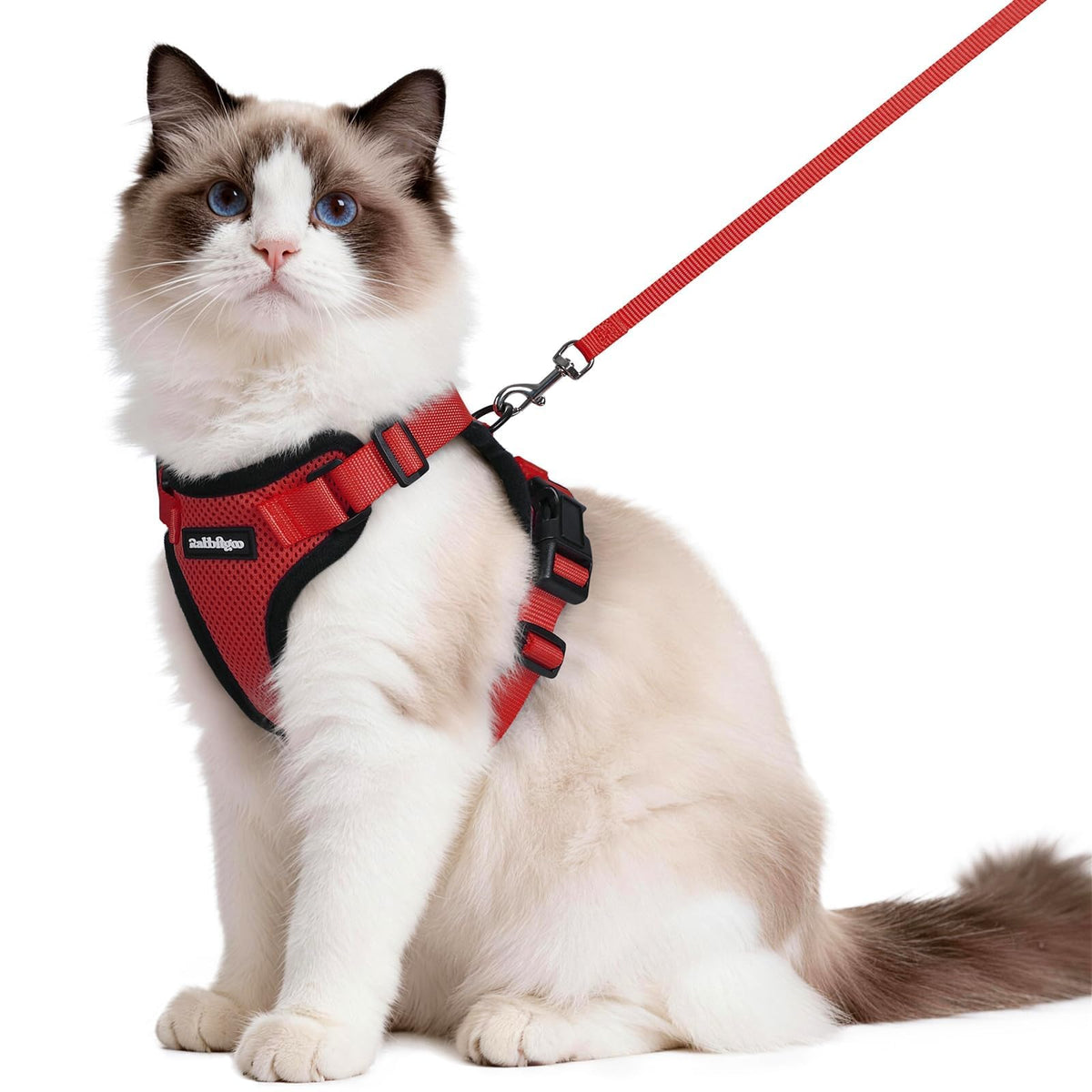 rabbitgoo Cat Harness and Leash Set, Escape Proof Vest, Emerald
