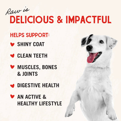 Stella & Chewy's Freeze-Dried Raw Chicken Breast Dog Treats - Single Ingredient, No Additives - Premium Training Treats - Perfect For Picky Eaters - 2.75oz Bag
