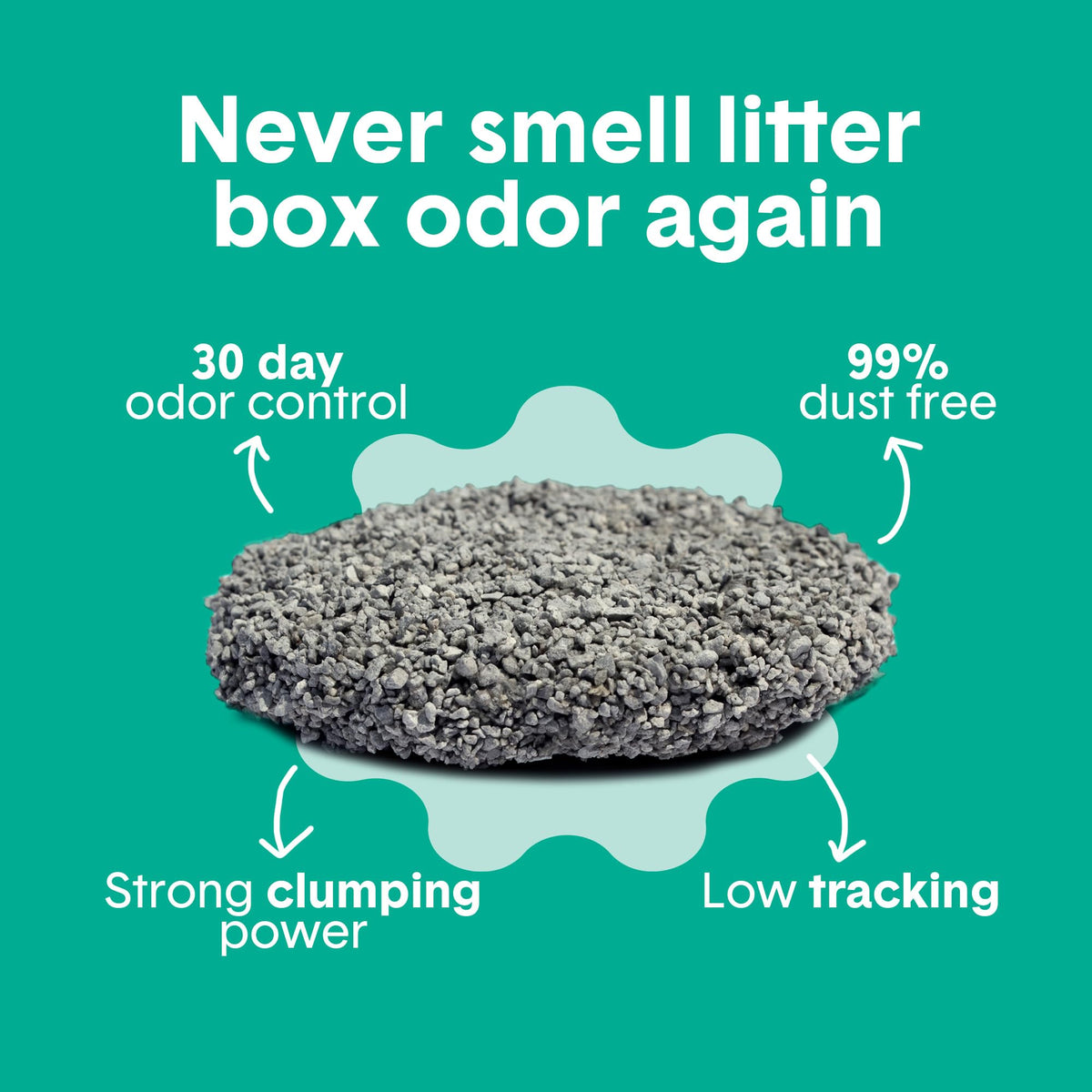 Boxie Premium Unscented Clumping Cat Litter 30+ Day Odor Control 16 lb