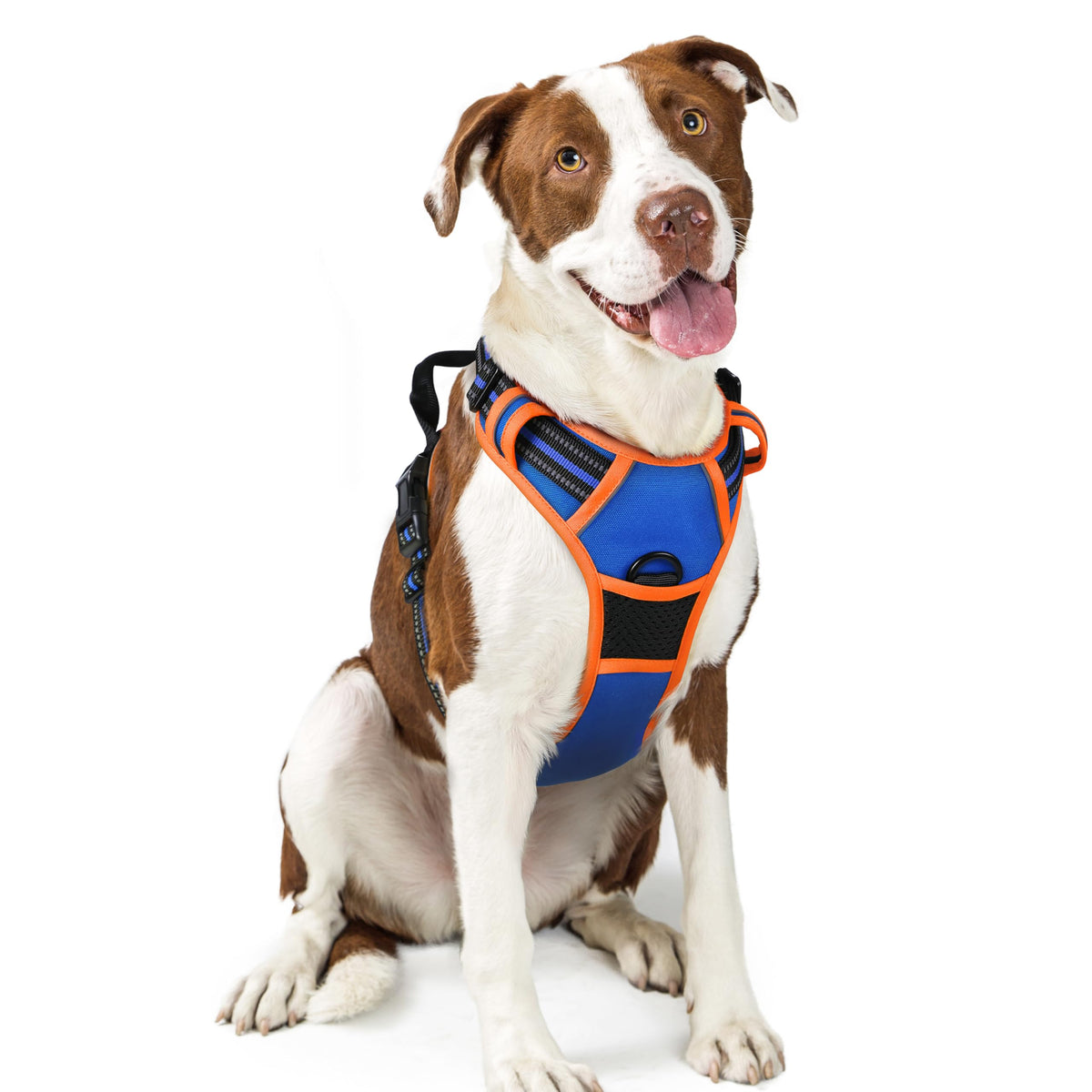 rabbitgoo Dog Harness, No Pull for Large Dogs with 2 Leash Clips, Pet Vest
