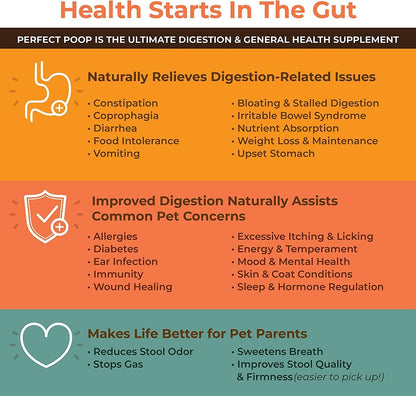 Bernie's Perfect Poop 4-in-1 Digestion Supplement, 2 Flavor Bundle, 12.8 oz
