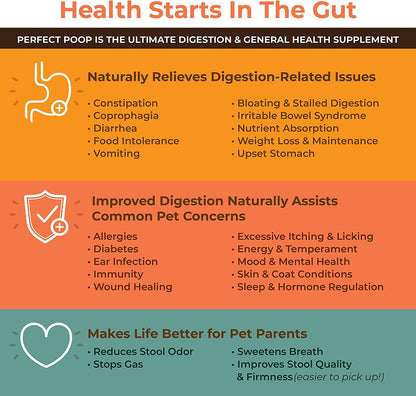Bernie's Perfect Poop 4-in-1 Digestion Supplement, 2 Flavor Bundle, 12.8 oz