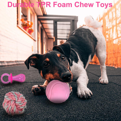 Beiker 20 Pack Puppy Chew Toys, Dog Teething Toys for Puppies Small Dogs