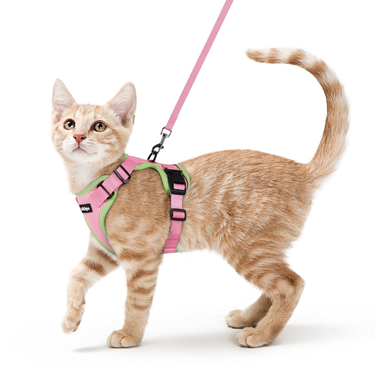 rabbitgoo Cat Harness and Leash Set, Escape Proof Vest, Emerald