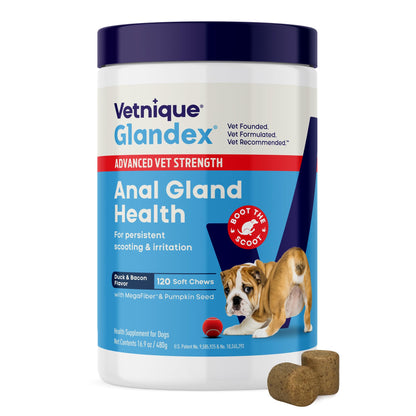Vetnique Glandex for Dogs Anal Gland Chews 60ct Pumpkin + Digestive Enzymes