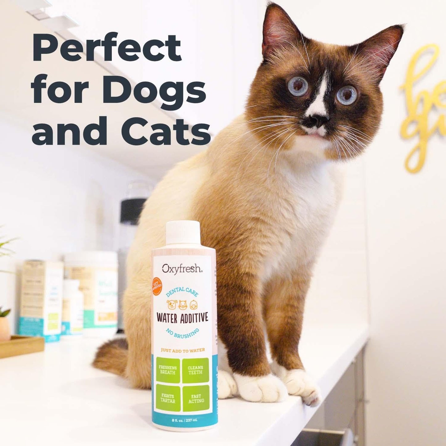 Oxyfresh Premium Pet Dental Care Solution Pet Water Additive – No Brushing
