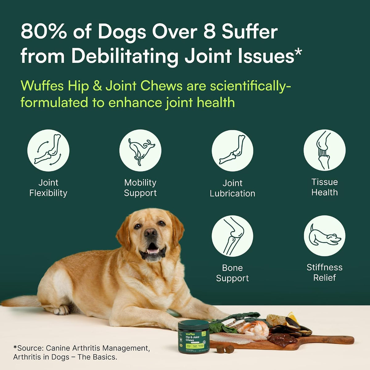 Wuffes Advanced Hip & Joint Supplement (2-Pack) - Soft Chews for Large Dogs with Glucosamine, Chondroitin, Omega 3, MSM & Green Lipped Mussel, Supports Mobility & Flexibility, 60 Pork Flavored Chews