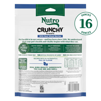 Nutro Crunchy Dog Treats with Real Peanut Butter, 10 oz