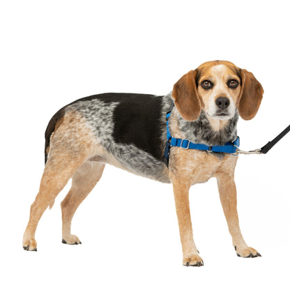 PetSafe Easy Walk Harness, No Pull Dog Harness, Raspberry, Medium/Large