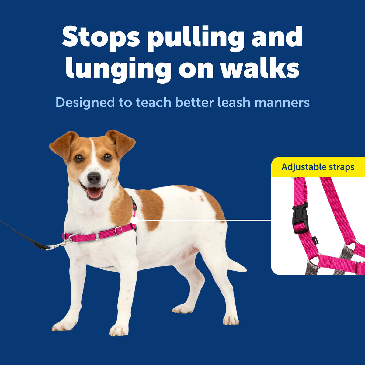PetSafe Easy Walk Harness, No Pull Dog Harness, Raspberry, Medium/Large