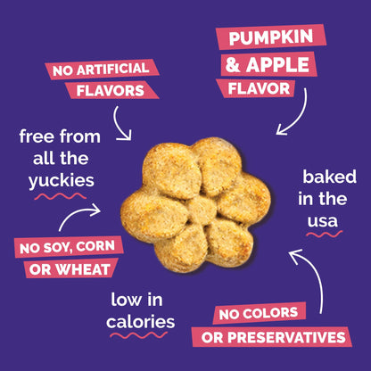 Fruitables Baked Dog Treats, Low Calorie Treats, Pumpkin & Blueberry, 12oz