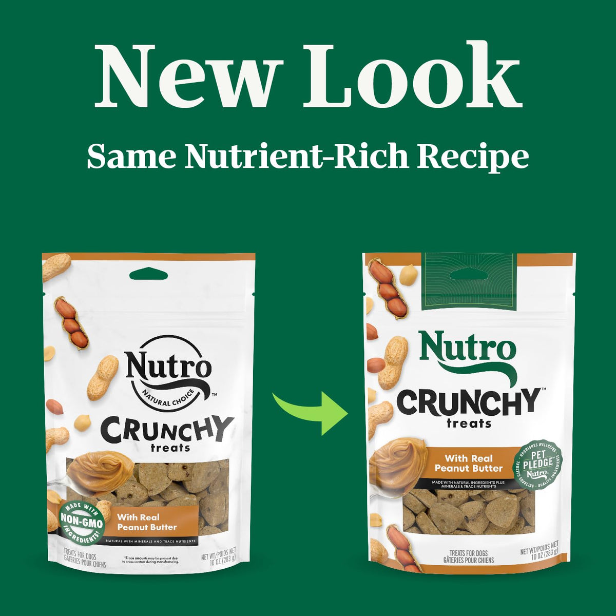 Nutro Crunchy Dog Treats with Real Mixed Berries, 16 oz