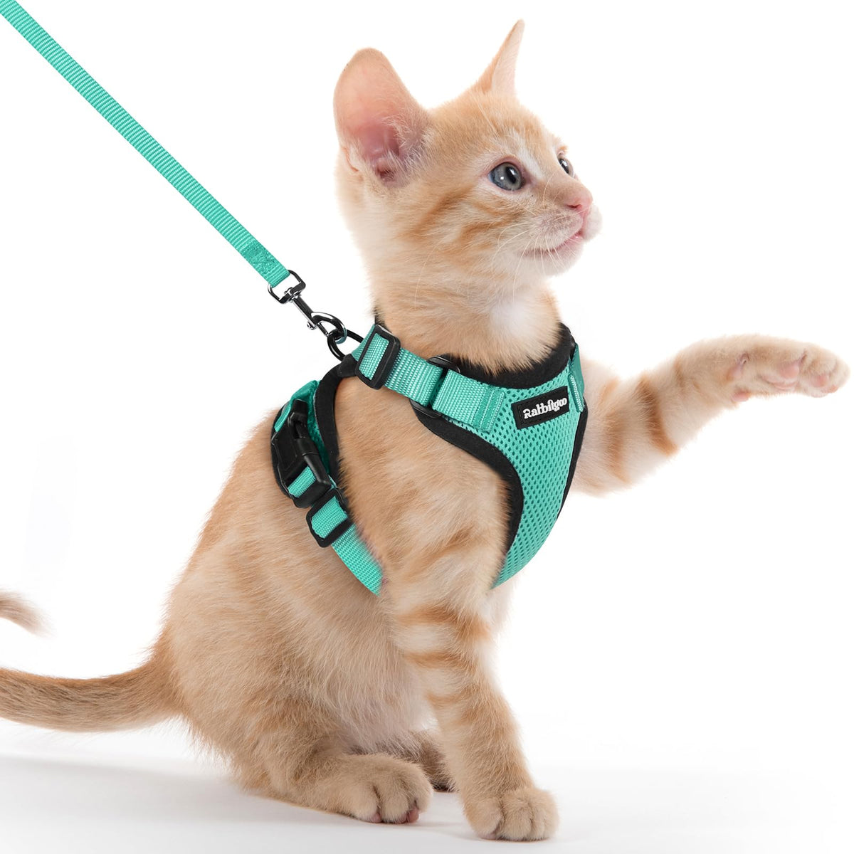 rabbitgoo Cat Harness and Leash Set, Escape Proof Vest, Emerald