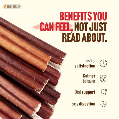Natural Farm Bully Sticks, Odor-Free, (6 Inch, 12 Ounces), Packaged by Weight, 100% Beef Pizzle Chews, Grass-Fed, Fully Digestible Treats to Keep Your Puppies, Small and Medium Dogs Busy