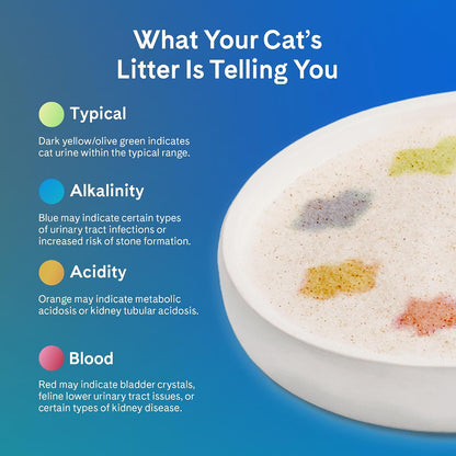 PrettyLitter Health Monitoring Cat Litter, Unscented, 4-Pack, 6 lb. Bags
