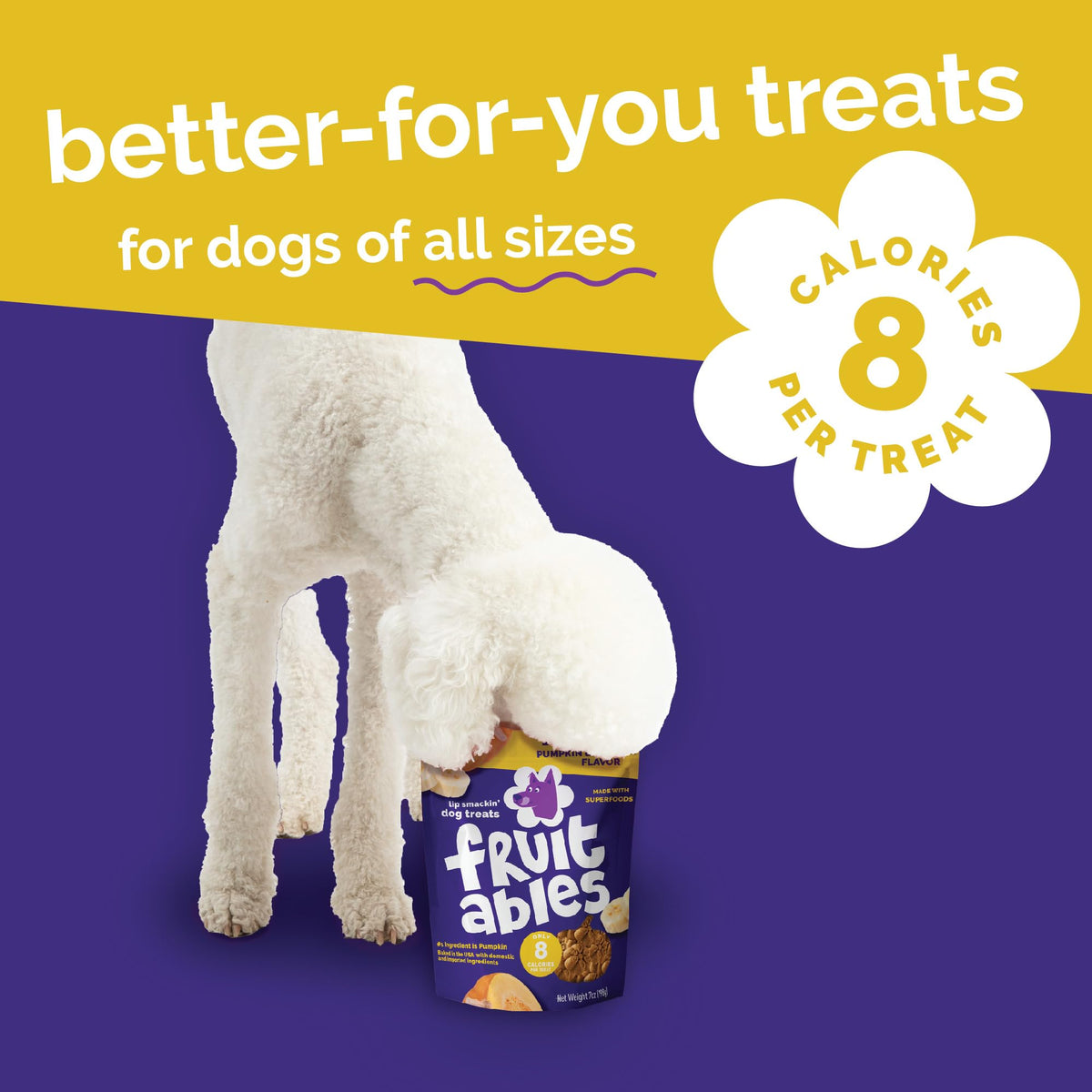 Fruitables Baked Dog Treats, Low Calorie Treats, Pumpkin & Blueberry, 12oz