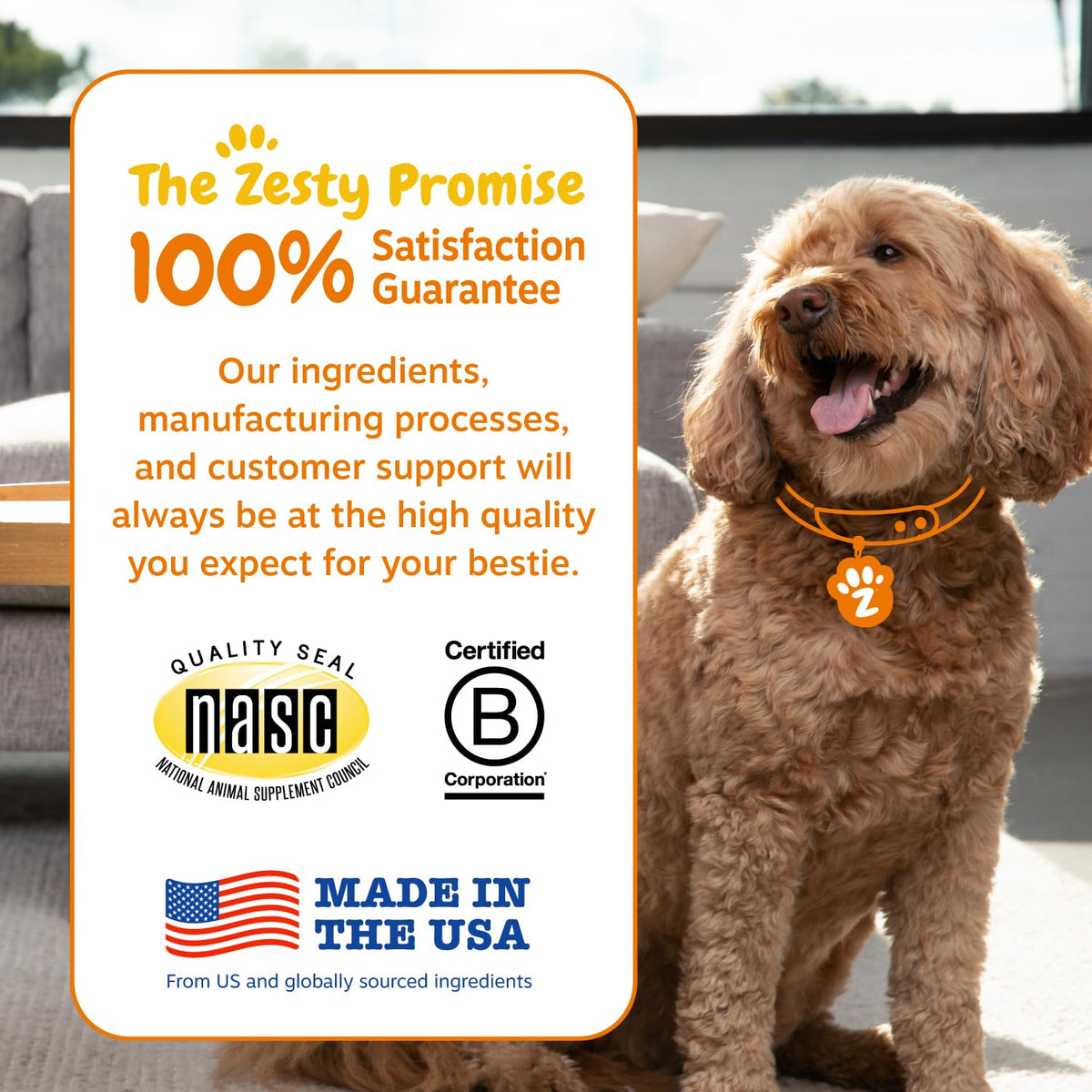 Zesty Paws Probiotics for Dogs - Gut Health Soft Chews, Pumpkin, 90 Ct