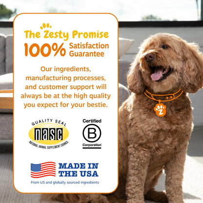 Zesty Paws Probiotics for Dogs - Gut Health Soft Chews, Pumpkin, 90 Ct
