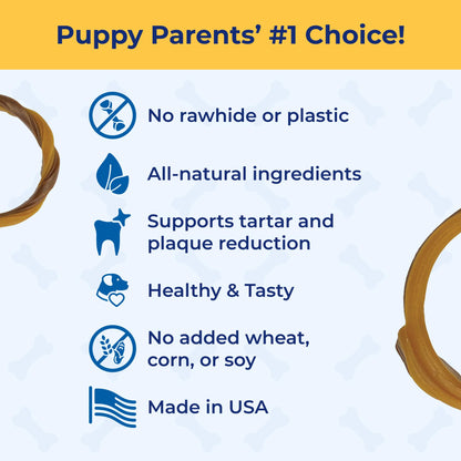 N-Bone Puppy Teething Rings, Chicken Flavor, Natural Puppy Teething Chews & Chew Treats, Helps Soothe Teething Gums, Calcium Enriched, 6 Rings