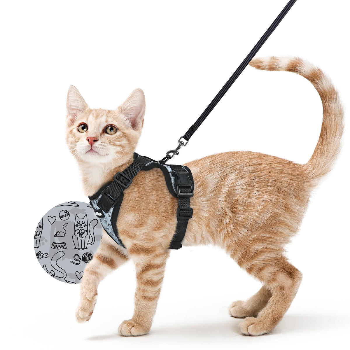 rabbitgoo Cat Harness and Leash Set, Escape Proof Vest, Black