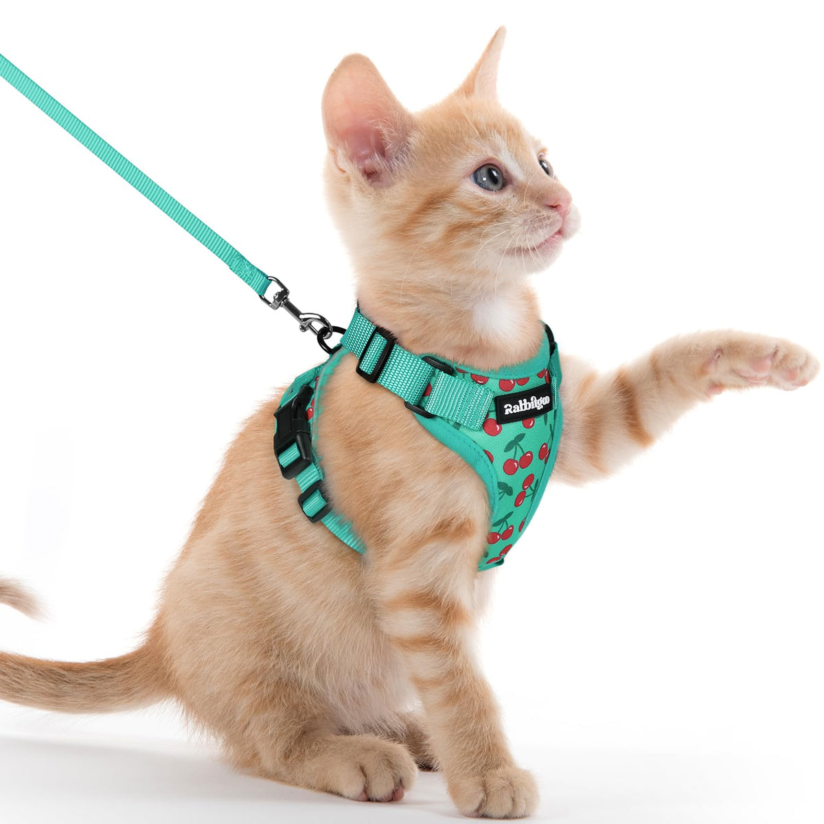 rabbitgoo Cat Harness and Leash Set, Escape Proof Vest, Emerald