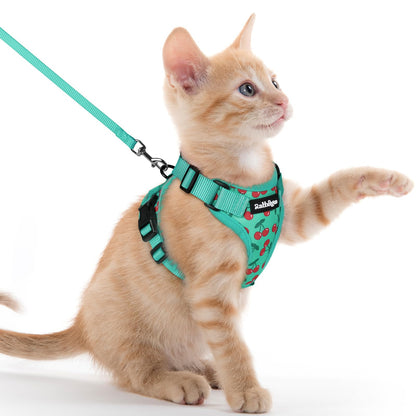 rabbitgoo Cat Harness and Leash Set, Escape Proof Vest, Emerald