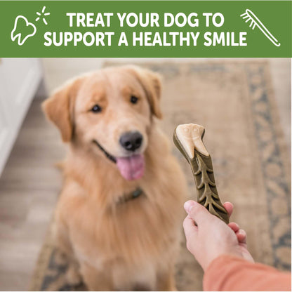 Wellness WHIMZEES Freshzees Natural Dog Dental Treat, Soft Chews, Freshens Breath, Extra-Small Size, 14.81 oz Bag, 56 Count
