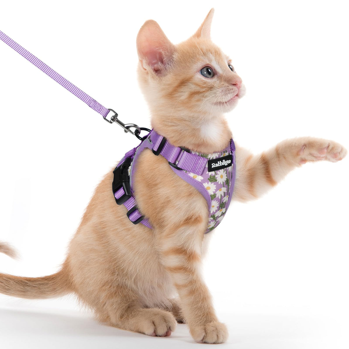 rabbitgoo Cat Harness and Leash Set, Escape Proof Vest, Emerald