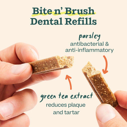 WOOF Bite n' Brush Dog Dental Sticks, Refills for Chew Toy, Chicken, 2 Pack