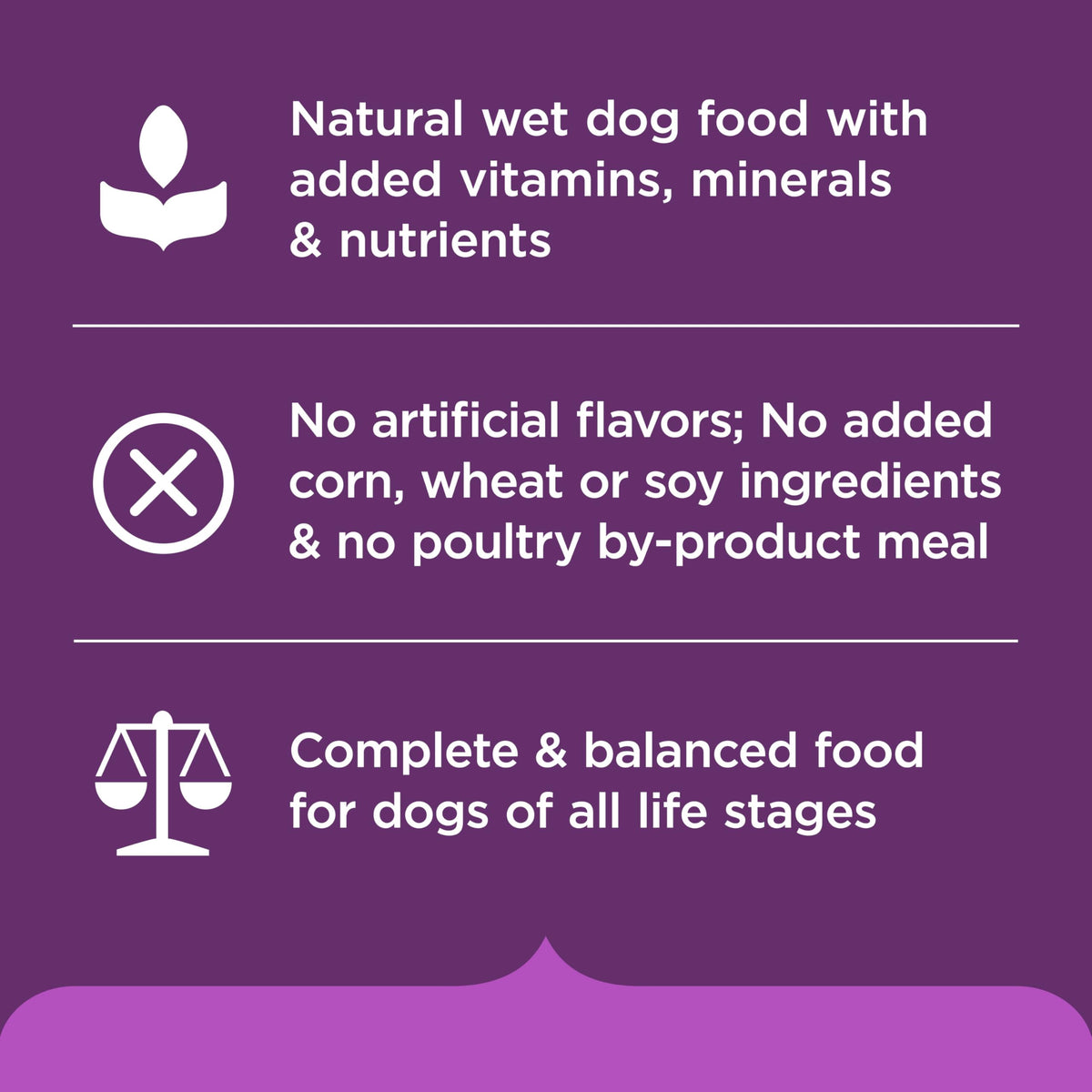 Nutrish Chicken Paw Pie Wet Dog Food, 8 oz. Tub (Pack of 8) (Rachael Ray)
