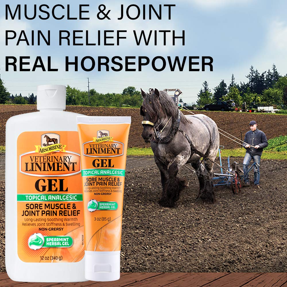 Absorbine Veterinary Liniment Gel, 12 oz Bottle