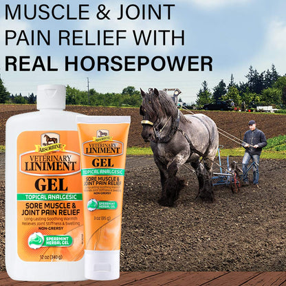 Absorbine Veterinary Liniment Gel, 12 oz Bottle