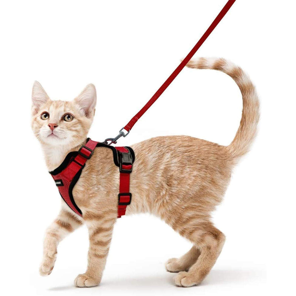 rabbitgoo Cat Harness and Leash Set, Escape Proof Vest, Emerald