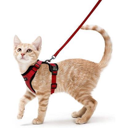 rabbitgoo Cat Harness and Leash Set, Escape Proof Vest, Emerald