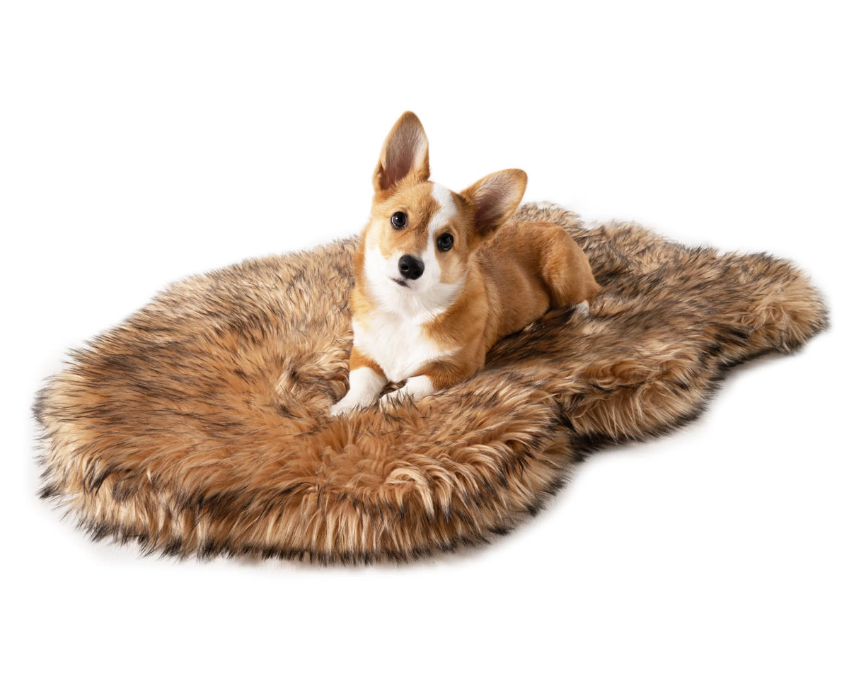 PAW BRANDS PupRug Orthopedic Memory Foam Dog Bed, White/Brown, 50x30