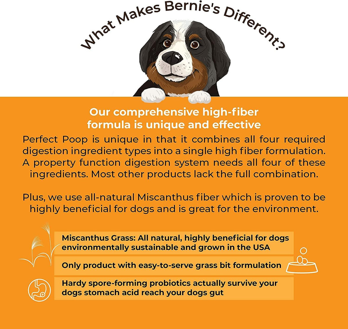Bernie's Perfect Poop 4-in-1 Digestion Supplement, 2 Flavor Bundle, 12.8 oz
