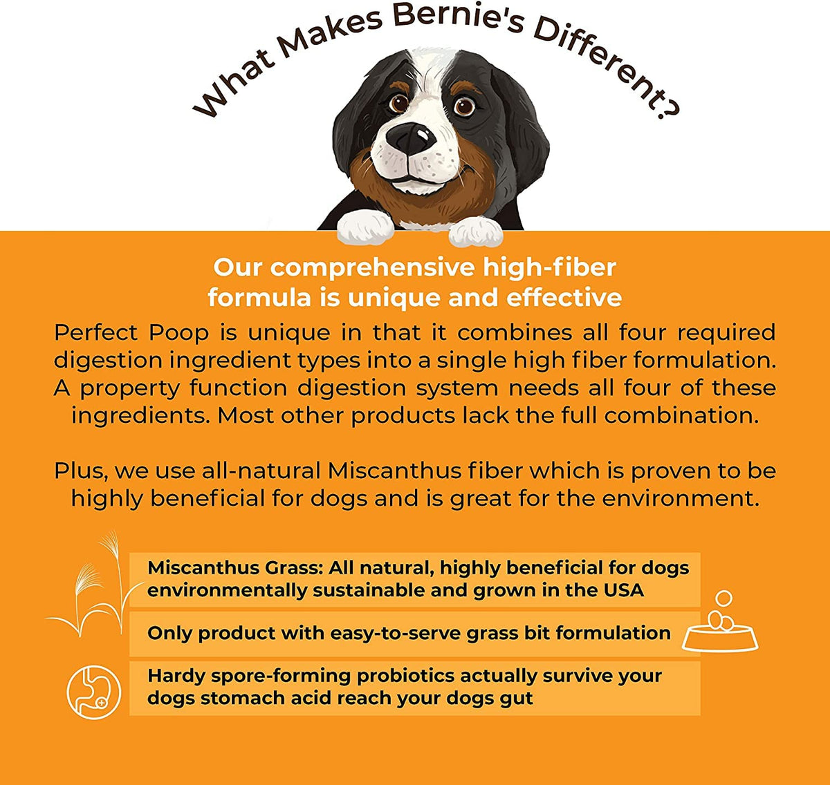 Bernie's Perfect Poop 4-in-1 Digestion Supplement, 2 Flavor Bundle, 12.8 oz
