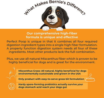 Bernie's Perfect Poop 4-in-1 Digestion Supplement, 2 Flavor Bundle, 12.8 oz