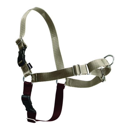 PetSafe Easy Walk Harness, No Pull Dog Harness, Raspberry, Medium/Large