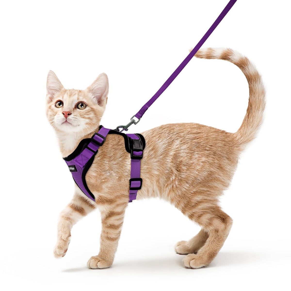 rabbitgoo Cat Harness and Leash Set, Escape Proof Vest, Black